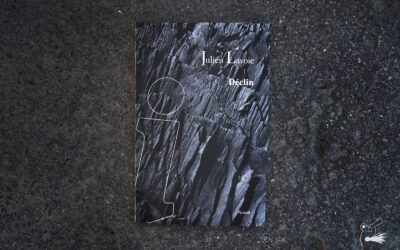 Nouveauté – «Déclin»