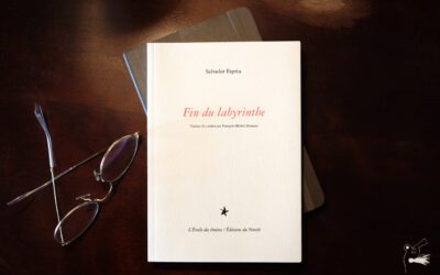 Nouveauté – «Fin du labyrinthe»